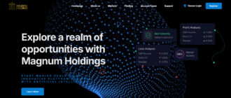 Magnum Holdings (magnumholdings.io)